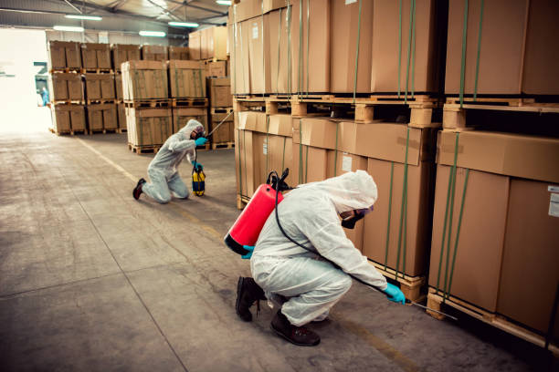 Best Pest Control Near Me  in Barrington, IL