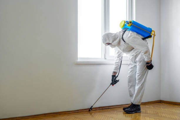 Best Best Pest Control Companies  in Barrington, IL
