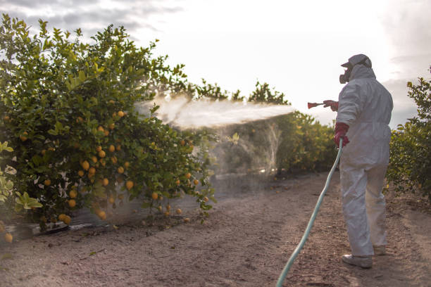 Best Exterminator Services  in Barrington, IL