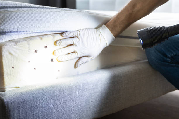Best Bed Bug Extermination  in Barrington, IL