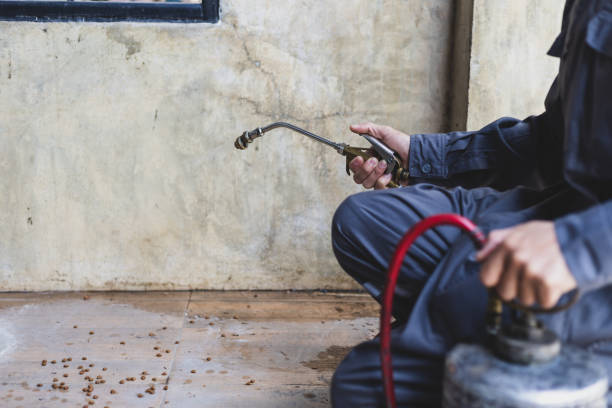 Best Emergency Pest Control  in Barrington, IL